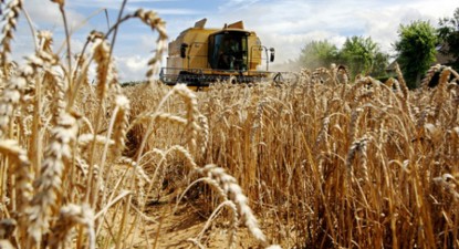 Garda Financiară a confiscat 31,3 milioane de lei de la doi angrosiști de cereale - 8eee1846f9b9cd158dfc174d2db55269.jpg