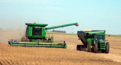 Campania de recoltare a început cu producții la jumătatea celor din 2008 - 8f270de833f4e0516c9a3d6a52310d40.jpg
