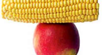 Rolul terapeutic al alimentației - 906b92b2e09a38a0dc5933b4943e87a0.jpg