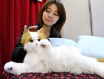 Veterinarul pe recepție - 933beb9efd3f7d4855b55872a8fc0629.jpg