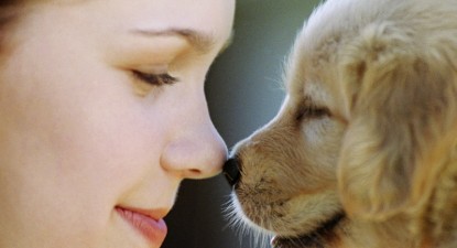 Toxoplasmoza în timpul sarcinii poate provoca malformații fătului - 93e2754d2bc2aaff3c23cc2ff61ec7d4.jpg