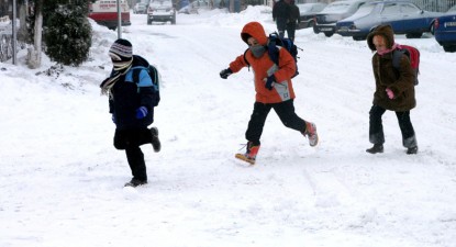 Ninsoarea viscolită a paralizat învățământul în județul Constanța - 96c14da979b538098b1c26f3f44a7ecf.jpg
