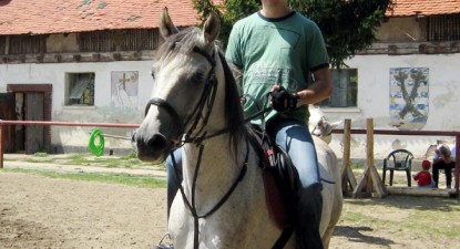 Tainele echitației pot fi descoperite la Herghelia Mangalia - 983540b32f93c7aed4fd7fa3fd142a69.jpg