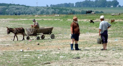 CJC a pus mâna pe sute de hectare de teren agricol din județ - 99de18277c25fa7fe70c02a0039a2141.jpg
