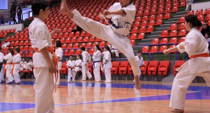 SFATURI - 9c2bfd97ce00ce9553bdc0f34c3532b6.jpg