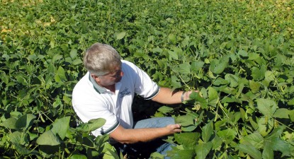 Producția națională de soia a scăzut cu 14%, în 2009 - 9d52e27bd4b330fc4857fab05b775406.jpg