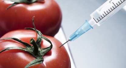 Fără prejudecăți despre cultivarea organismelor modificate genetic - 9ef0e6d90435a900c7d51f7579ae6617.jpg
