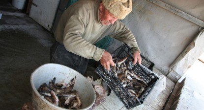 Șoseaua de coastă se poticnește în colibele pescarilor - 9f6eaca5423c1bd7cc9689a47c7d1478.jpg