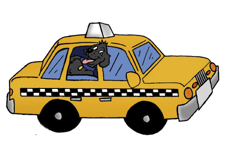Un american la  București - 9zetaxi-1312471936.jpg