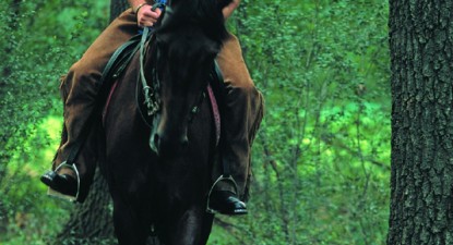 Armamentul lui Mircea Badea - a0161c65dc9f943adac0381c880e0ad4.jpg