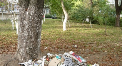 Mizeriile Constanței - a080c3b21aced9b1f9832871cdf4a381.jpg