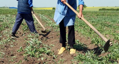 Se pregătește Marea PFA-lizare - a4ea6d6b9e1d62beff019069abdb7dfd.jpg