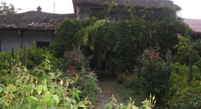 Italienii din Greci, 