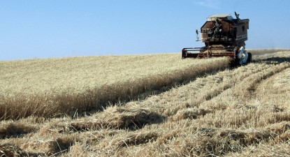 Evaziunea fiscală din agricultură dă bătăi de cap statului român - a6549983649baa9f4bd620709c7123bd.jpg