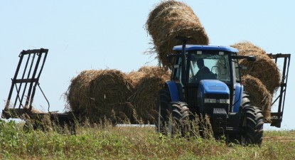 Samsarii fac legea în agricultură - ab34df627e1577ad7d6fa37335e1d101.jpg