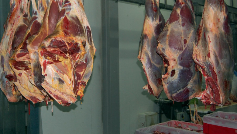 Abator ilegal descoperit de autorități: sute de kilograme de carne confiscate - abator-1755708233.jpg