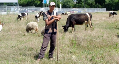 Producătorii de lapte nu vor mai fi bătaia de joc a procesatorilor - ac58c7a8b42bd45e5be4fc3b28d5eba6.jpg