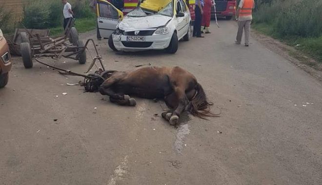 ACCIDENT GRAV la Constanța, provocat de un cal lăsat nesupravegheat - accidentcal-1531994491.jpg