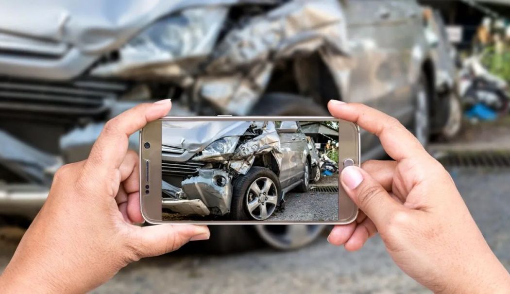 Șoferii primesc despăgubiri pentru accidente cu animale. CNAIR a plătit peste 4 milioane de lei
