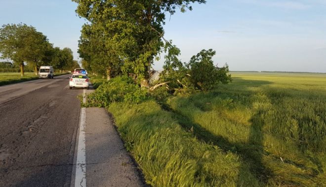 GALERIE FOTO / Accident rutier la intrare în Amzacea, județul Constanța - accidenttiramzacea2-1526447442.jpg