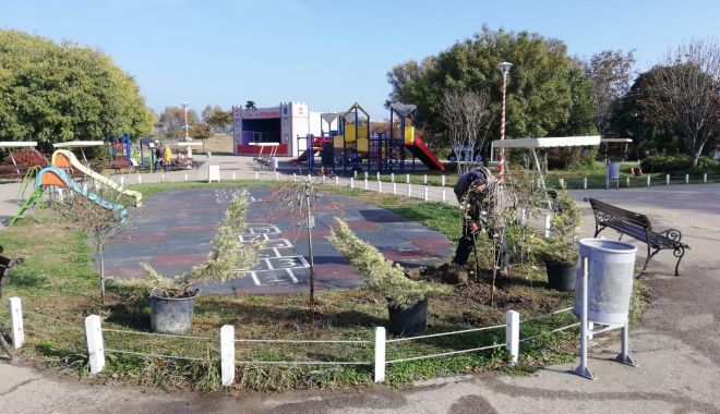Acţiune de plantare în Ţara Piticilor - actiunedeplantare-1605526028.jpg