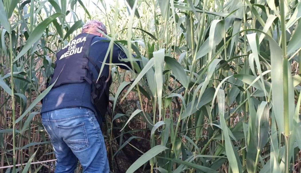 Garda Națională de Mediu, acțiuni antibraconaj în Delta Dunării - actiuni-delta-28-mai-1716919475.jpg