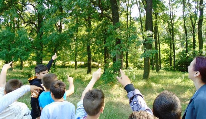 Ministerul Educaţiei: Metodologia de organizare a programului “Săptămâna verde” - în consultare publică - activitatieugw2022scoalagimnazia-1698246541.jpg