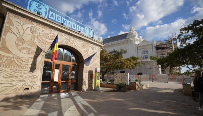 DOAR 5 lei biletul de acces pentru elevii și studenții care vor să intre la Acvariul din Constanța - acvariu-1676987529.jpg