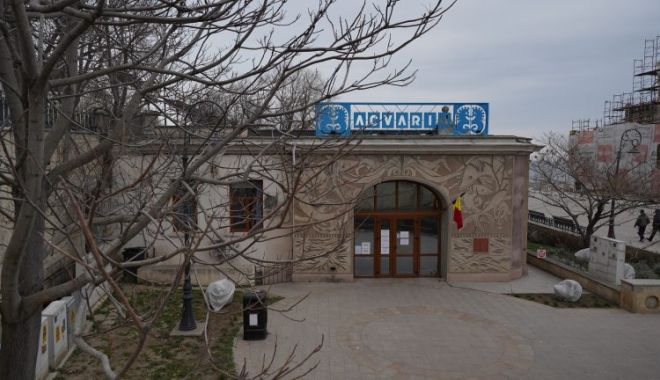 Acvariul din cadrul Complexului Muzeal de Științe ale Naturii Constanța va fi închis miercuri, 7 septembrie - acvariu768x432-1664826242.jpg