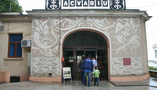 Ce putem vizita în Noaptea Muzeelor. Acvariul, surpriza din program! - acvariu83-1431614290.jpg
