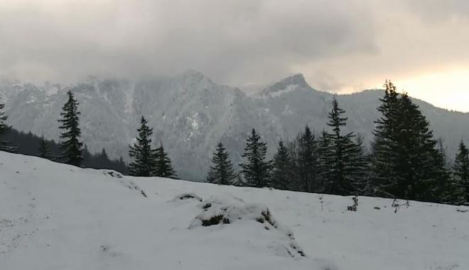Avalanșă 
