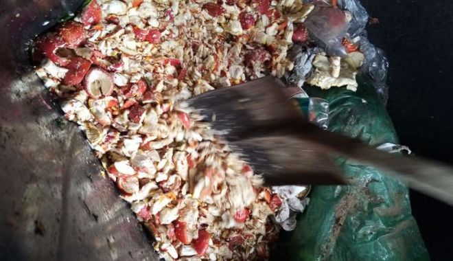 Ciuperci expuse la vânzare în piaţă, cu risc pentru consumatori, confiscate şi distruse de inspectorii sanitar-veterinari