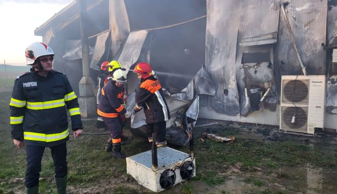 Hală cu 9.000 de găini ouătoare, arsă într-un incendiu - ada7decembrie2022005-1670397178.jpg
