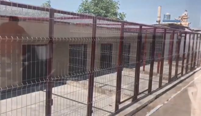 VIDEO / Adăpostul pentru câini din Constanța, gata până la sfârșitul anului - adapostcaini-1528782854.jpg