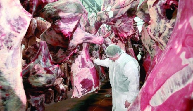 Autoritățile din Grecia au descoperit ADN de cal în carne de vită importată din Romania - adevarulro-1362035453.jpg