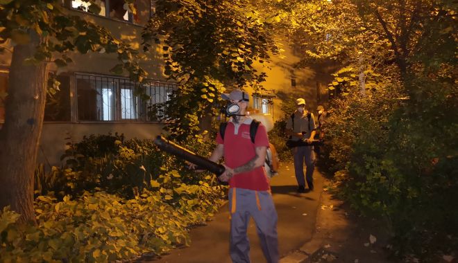 Administrația continuă lupta cu insectele din cartierele constănțene - administratia-1565368926.jpg