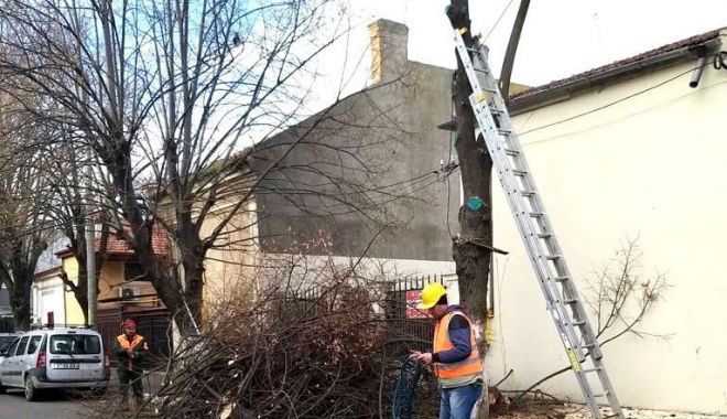 Administrația locală a reluat lucrările de toaletare a arborilor - administratiaareluat-1578946999.jpg
