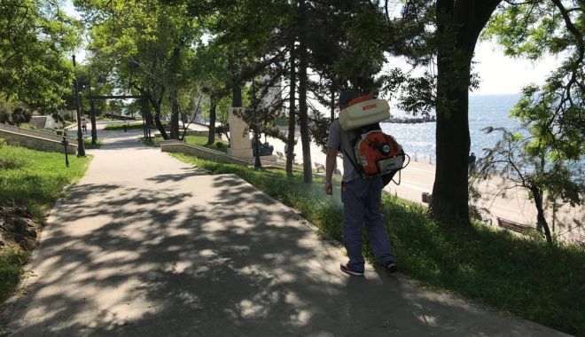 Administrația locală din Constanța continuă acțiunile de dezinsecție - administratialocala-1560974430.jpg