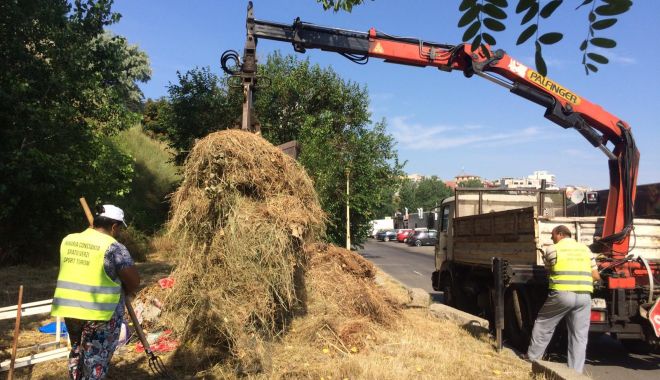 Administrația locală continuă lucrările de igienizare în cartierele din Constanța - administratialocala-1561399292.jpg