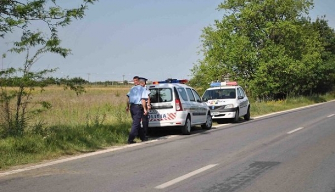 Accident rutier provocat din cauza unei albine - af-1470501459.jpg