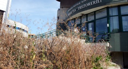 În casetele florale de pe trotuarele marilor bulevarde constănțene se lăfăie bălăriile… - af3fd5c5ee075c3b22c7cc2175d85e5a.jpg