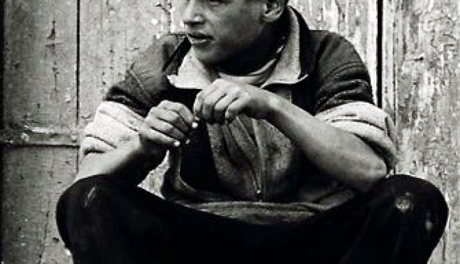 Un nou nume pe simezele Wild Art - afis-1311266323.jpg