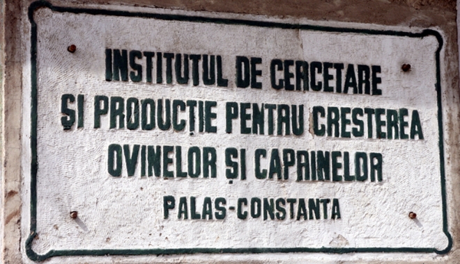 A fost aprobată reorganizarea Institutului de Cercetare-Dezvoltare pentru Creșterea Ovinelor și Caprinelor - Palas - afostaprobatareorganizarea4-1474300205.jpg