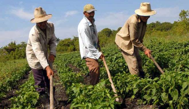 A fost aprobat registrul agricol pentru perioada 2015-2019 - afostaprobatregistrul-1427396944.jpg