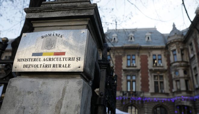 Termen prelungit la depunerea proiectelor de investiții în procesarea produselor agricole - afostprelungittermenuldedepunere-1641581941.jpg