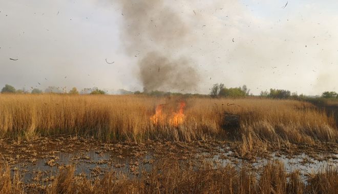 UPDATE! Incendiu într-o zonă protejată din Delta Dunării! - agfzad1lntqzmtu3yzi1nzc4odzhzdgw-1650134011.jpg