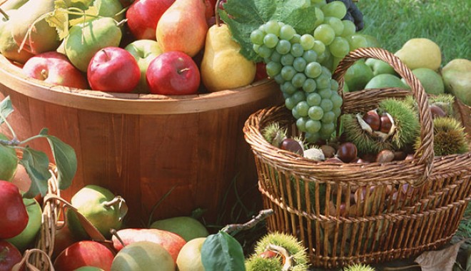 Expoziții și târguri agricole - agralim2-1317416404.jpg