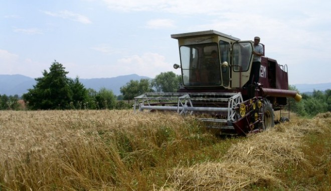 Buletin agrometeorologic. Semne bune pentru agricultorii constănțeni - agri-1361366876.jpg