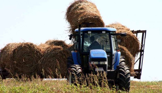 Semne bune pentru agricultura constănțeană - agri-1361399130.jpg