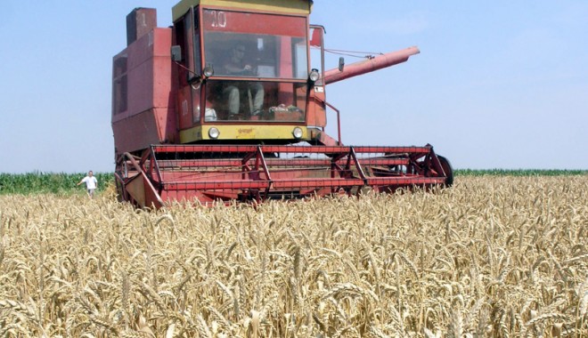 Agricultorii trebuie să-și declare veniturile pe 2014 - agricultorii-1408969339.jpg